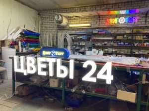 Цветы 24
