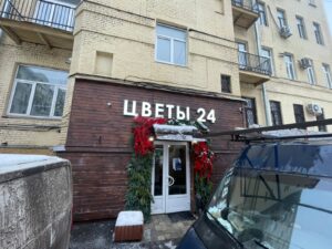 Цветы 24